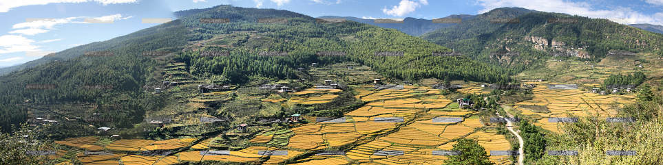 Bhutan_Paro_9265 Panorama.jpg